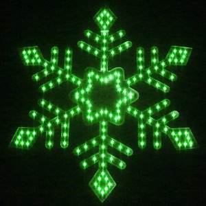 12V 눈 (500mm/25W/무극성)녹색 (H520074)