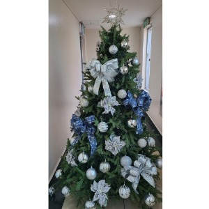 [Green Christmas Tree (Silver2)](180Cm, 210Cm, 240Cm)H120513