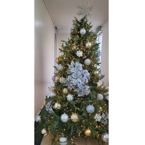 [Green Christmas Tree (Gold&amp;Silver)](180Cm, 210Cm, 240Cm)H120511