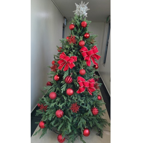 [Green Christmas Tree (Red Ribbon1)](180Cm, 210Cm, 240Cm)H120504