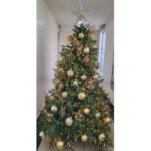 [Green Christmas Tree (Gold2)](180Cm, 210Cm, 240Cm)H120509