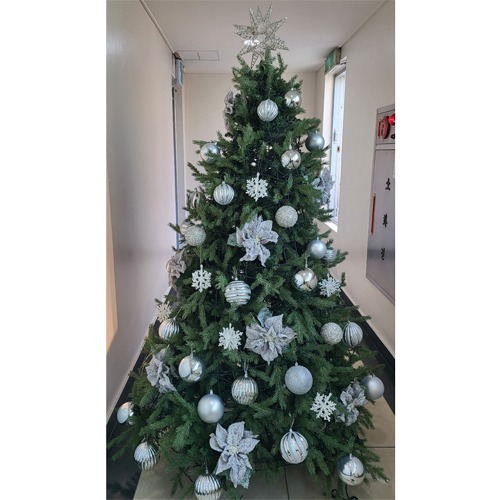 [Green Christmas Tree (Silver1)](180Cm, 210Cm, 240Cm)H120512