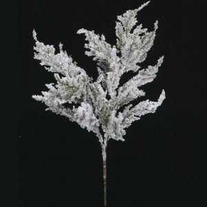 [가지](40cm)GREENH4101506
