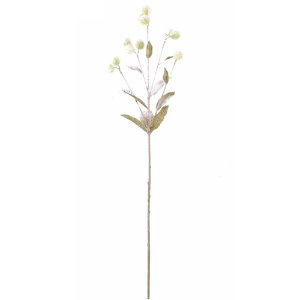 [가지](79cm, WHITE GREEN)H4101316