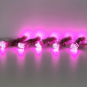 LED 300구 무뚜기 전구LED 60구X병렬5조연결*1세트(가로:1M X 세로:3M)투명선/핑크색(H120078)
