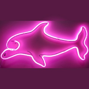 핑크 아기 돌고래 (0.9M)(H120171)