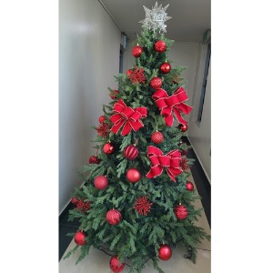 [Green Christmas Tree (Red Ribbon1)](180Cm, 210Cm, 240Cm)H120504
