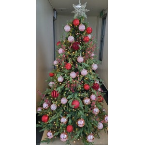 [Green Christmas Tree (Pink&amp;Red)](180Cm, 210Cm, 240Cm)H120515