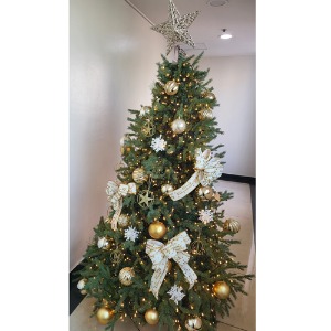 [Green Christmas Tree (Gold3)](180Cm, 210Cm, 240Cm)H120510