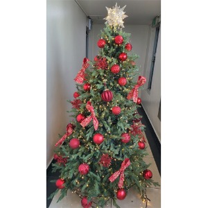 [Green Christmas Tree (Red Ribbon2)](180Cm, 210Cm, 240Cm)H120505