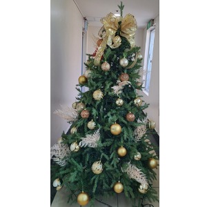 [Green Christmas Tree (Gold1)](180Cm, 210Cm, 240Cm)H120506
