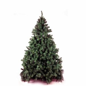 [Christmas Tree](270Cm)H050017